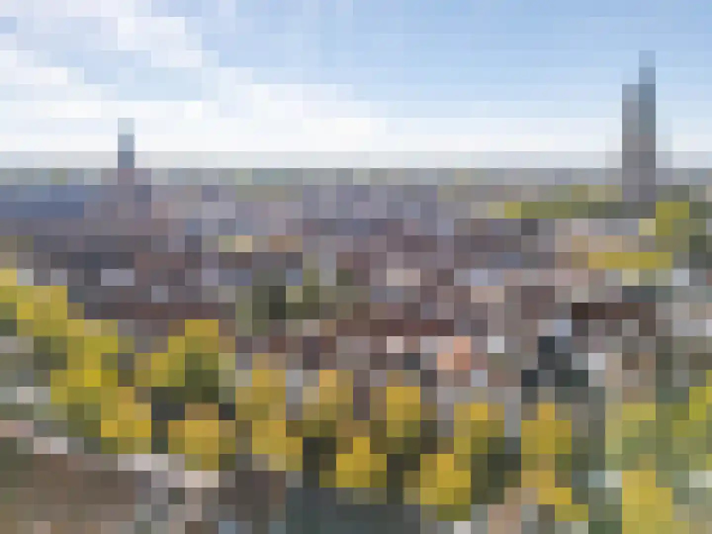 Havik 27 Amersfoort thumbnail 39
