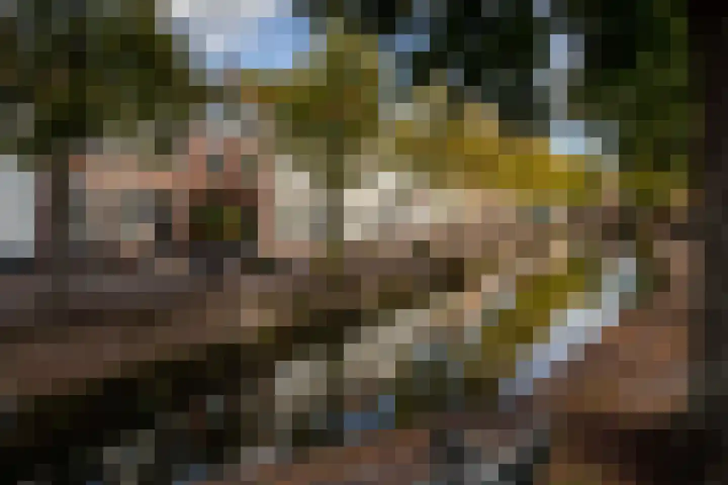 Havik 27 Amersfoort thumbnail 41