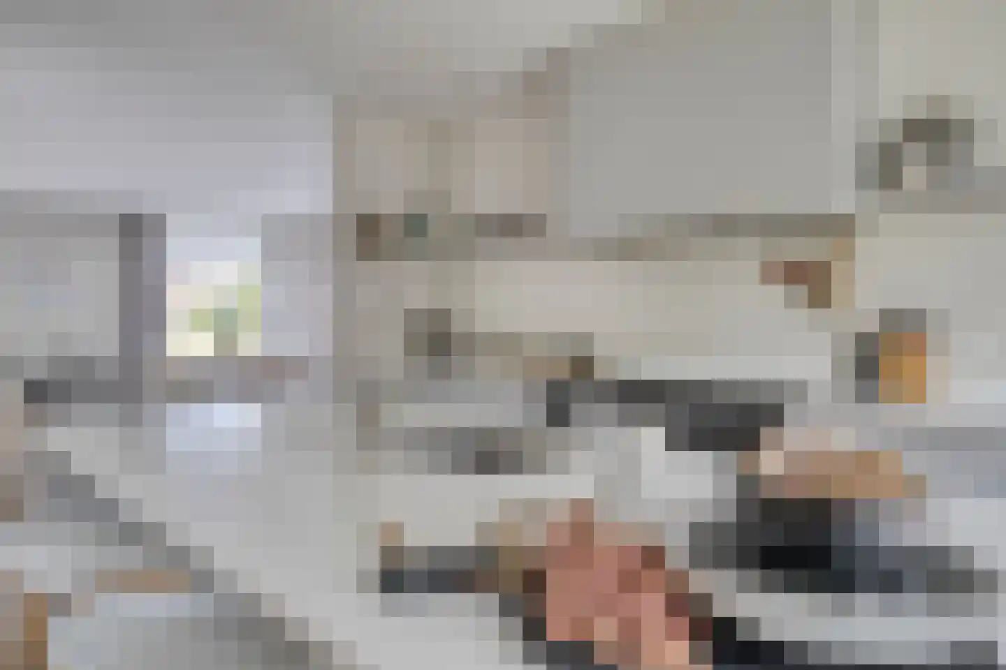 Havik 27 Lichtenvoorde thumbnail 10