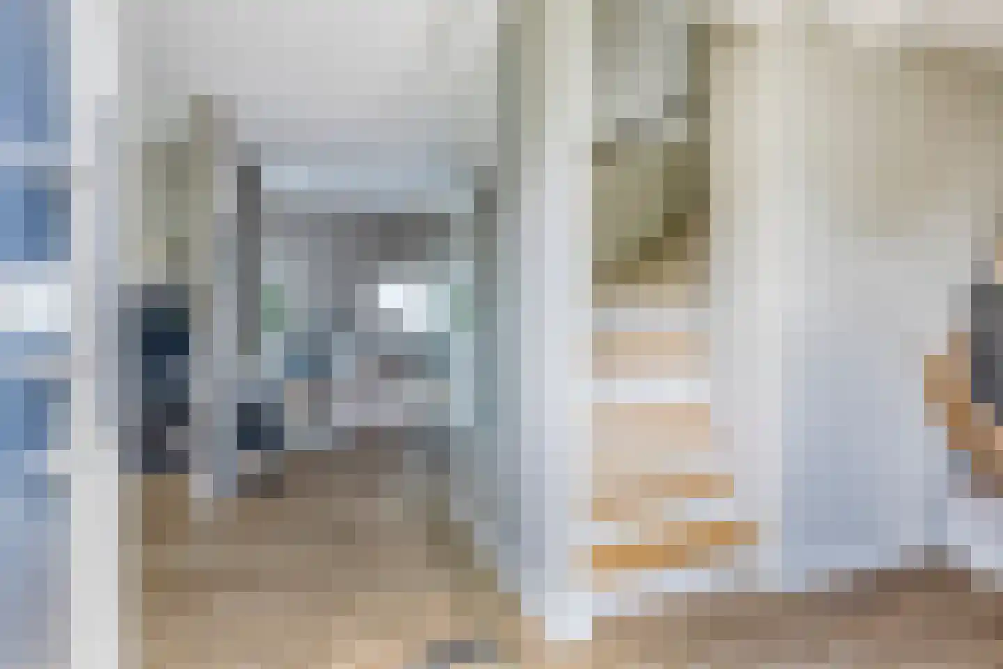 Havik 27 Lichtenvoorde thumbnail 11