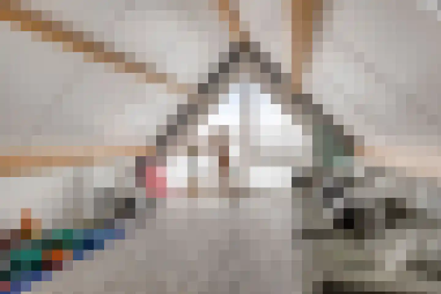 Havik 27 Lichtenvoorde thumbnail 25