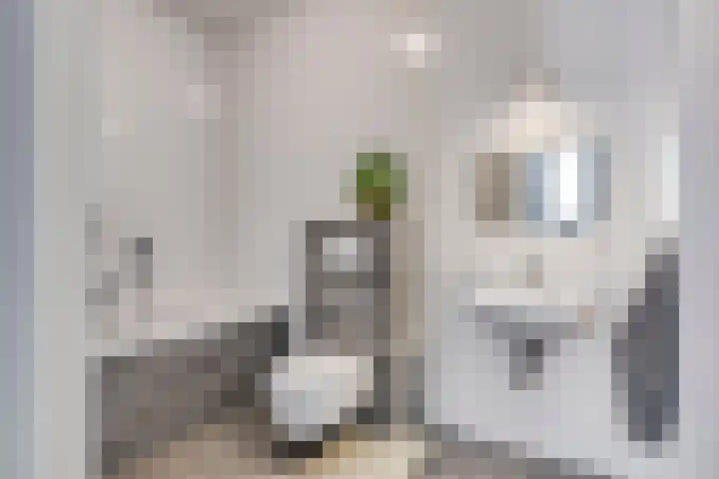 Havik 27 Lichtenvoorde thumbnail 31