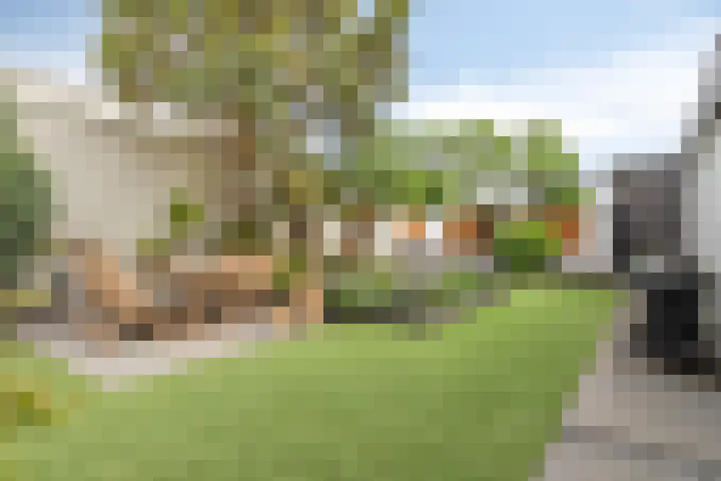Havik 27 Lichtenvoorde thumbnail 32