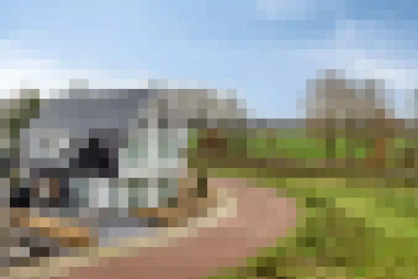 Havik 27 Lichtenvoorde thumbnail 4
