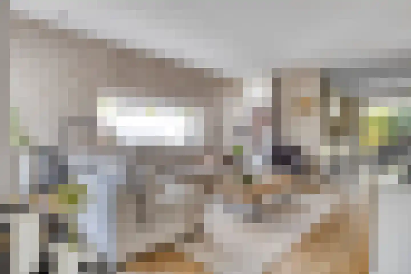 Havik 27 Lichtenvoorde thumbnail 5