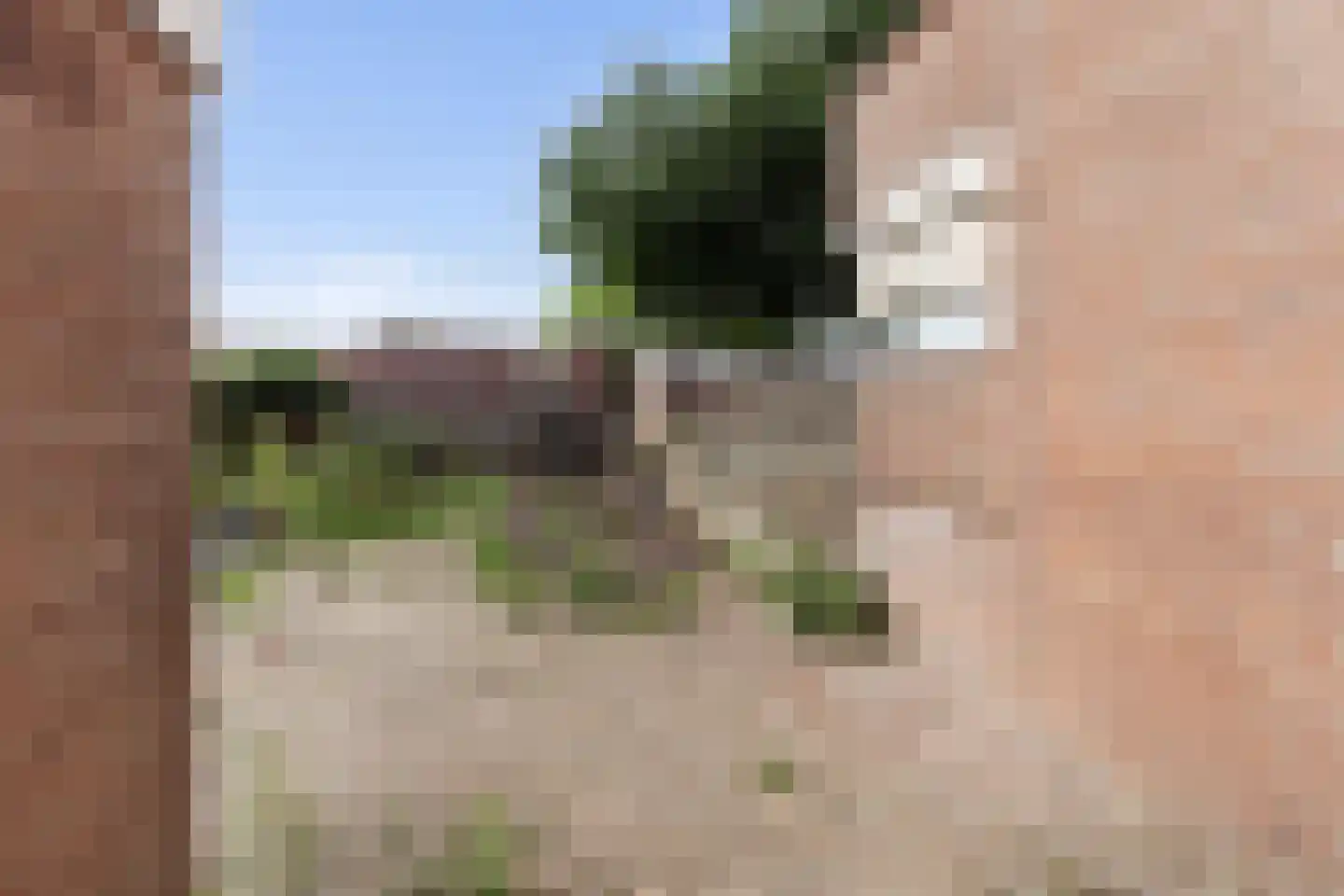 Havik 27 Nieuwegein thumbnail 28