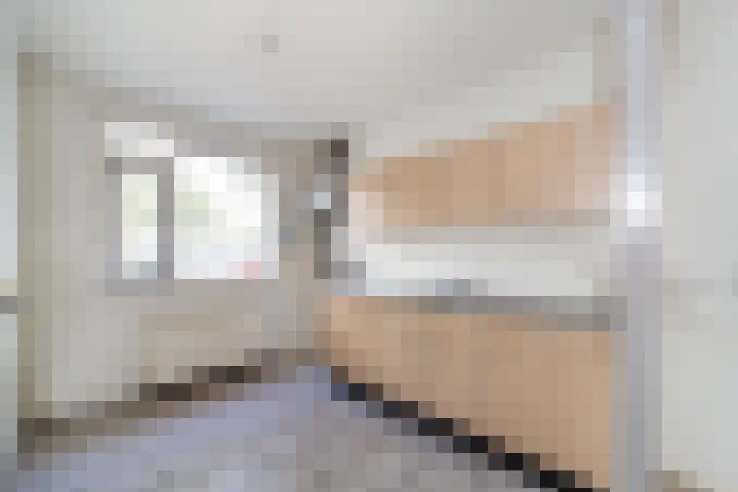 Havik 27 Nieuwegein thumbnail 4