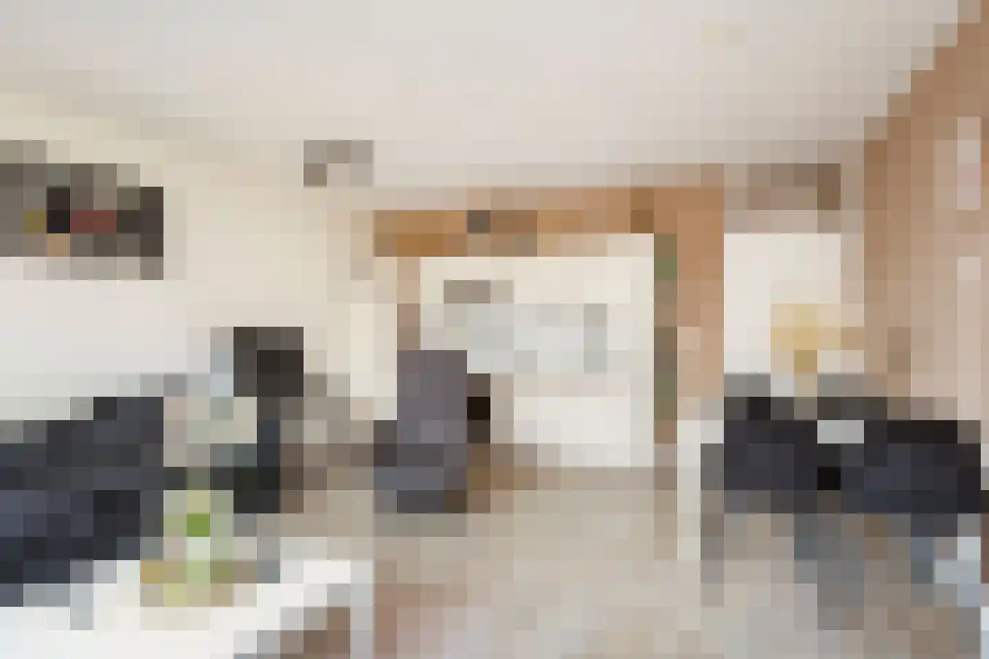 Havik 35 Nieuwegein thumbnail 8