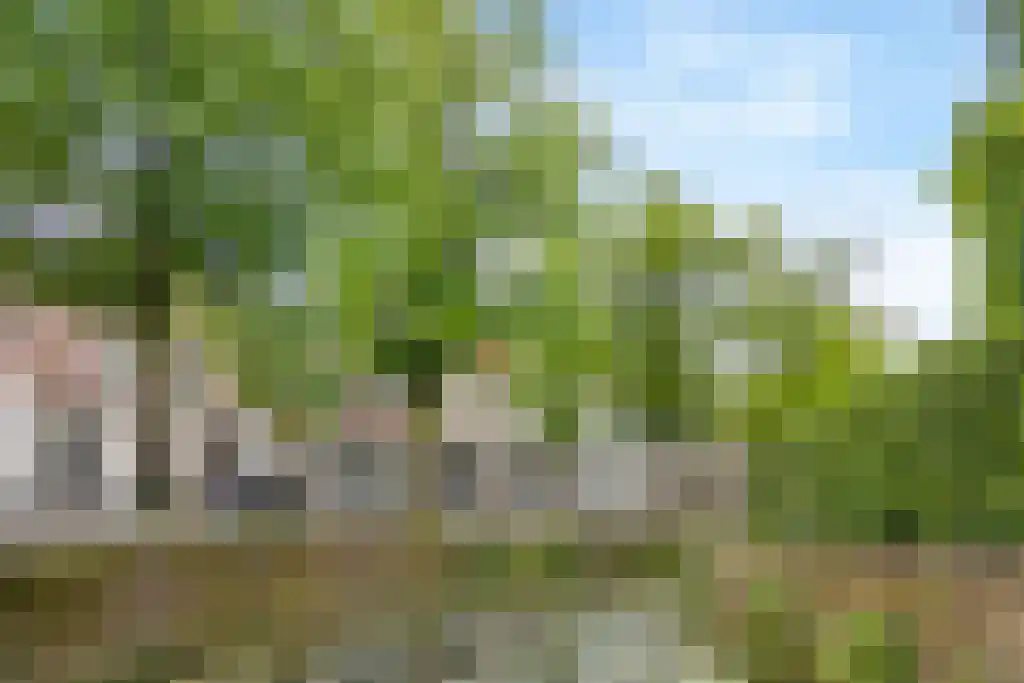 Havik 41 Amersfoort thumbnail 42
