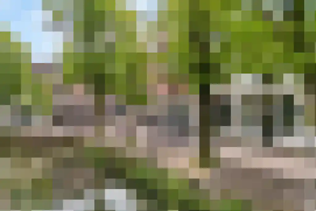 Havik 41 Amersfoort thumbnail 43