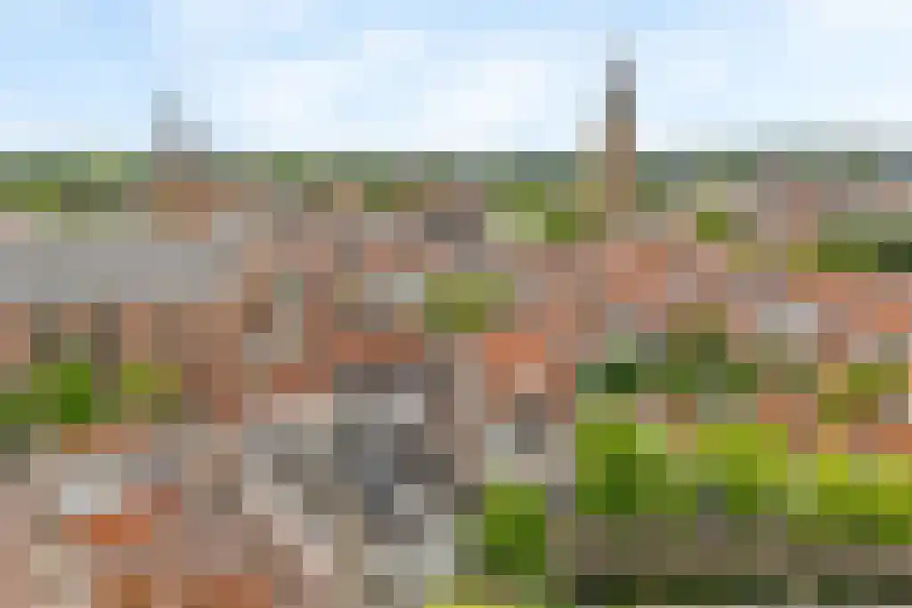 Havik 41 Amersfoort thumbnail 45