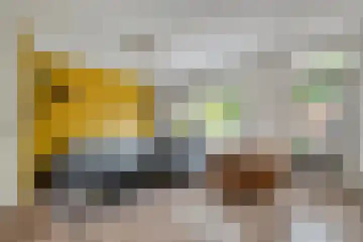 Havik 5 Ommen thumbnail 10