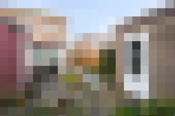 Havik 5 Ommen thumbnail 11