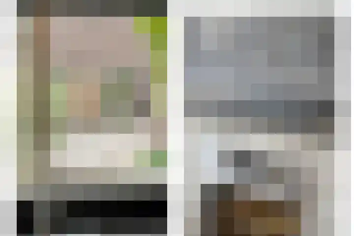 Havik 5 Ommen thumbnail 16