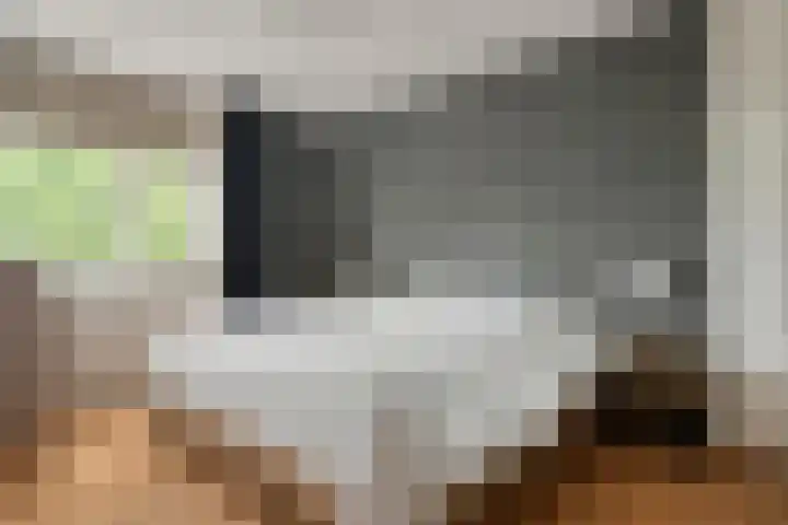 Havik 5 Ommen thumbnail 17