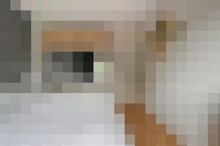 Havik 5 Ommen thumbnail 18