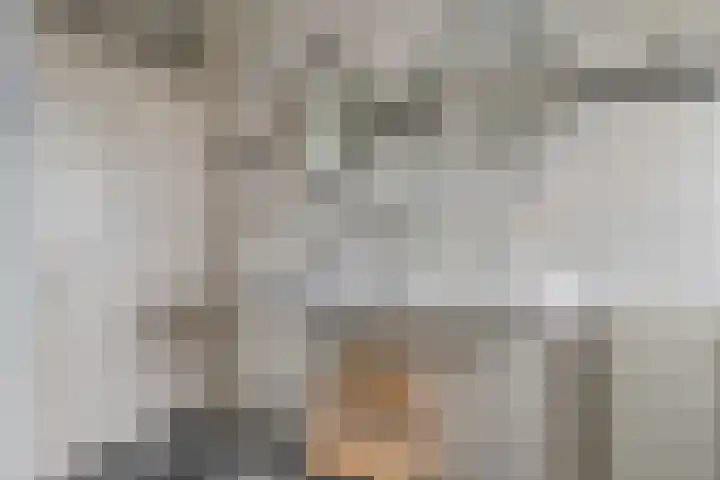 Havik 5 Ommen thumbnail 19