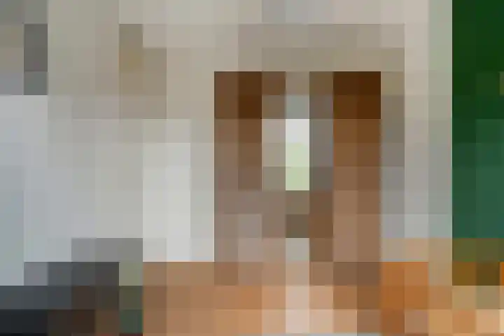 Havik 5 Ommen thumbnail 25