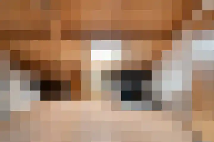 Havik 5 Ommen thumbnail 27