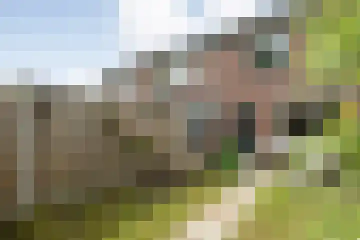 Havik 5 Ommen thumbnail 28