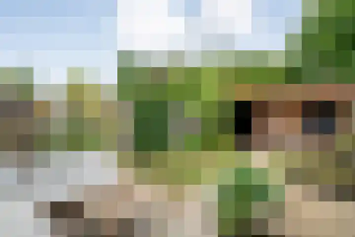Havik 5 Ommen thumbnail 31