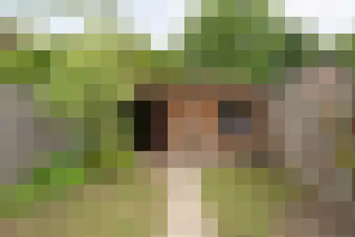 Havik 5 Ommen thumbnail 32