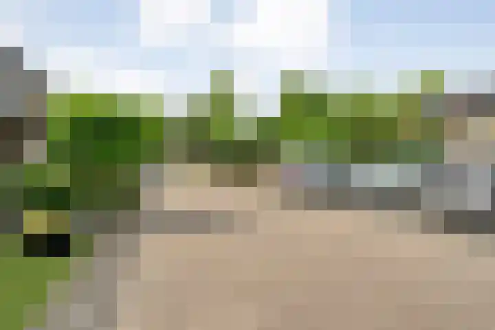 Havik 5 Ommen thumbnail 33