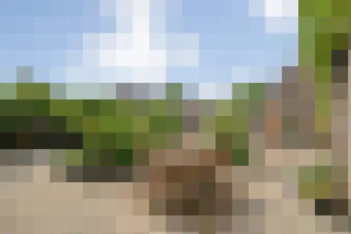 Havik 5 Ommen thumbnail 5
