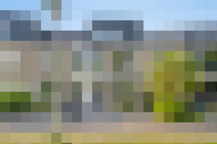 Havik 55 Etten-Leur thumbnail 6