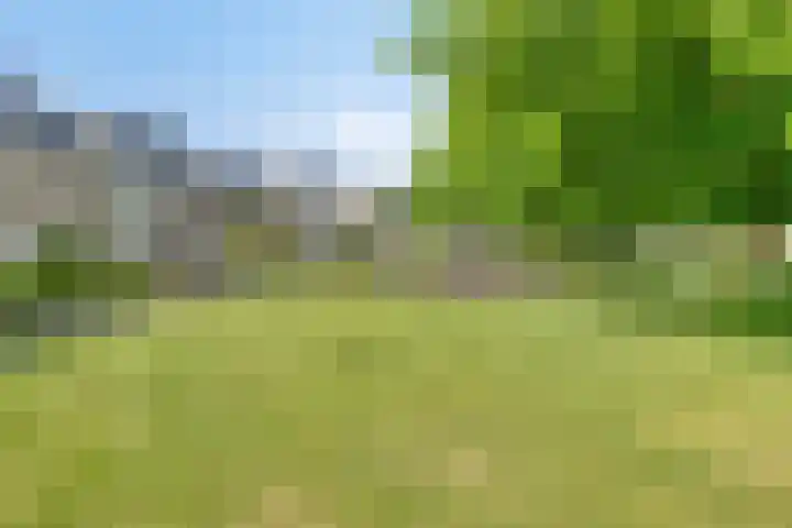 Havik 55 Etten-Leur thumbnail 7