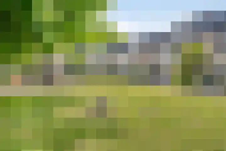 Havik 55 Etten-Leur thumbnail 8
