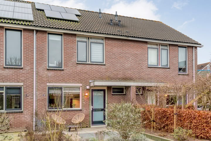 Havik 7 en Ommen foto