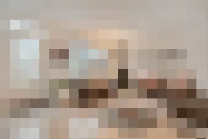 Havik 7 Ommen thumbnail 13
