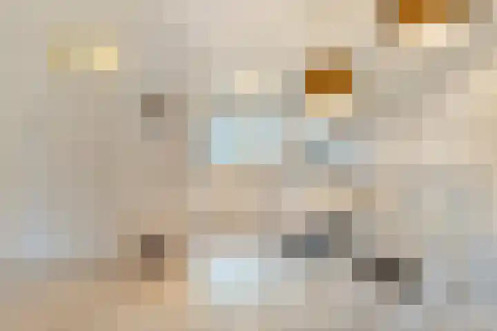 Havik 7 Ommen thumbnail 15