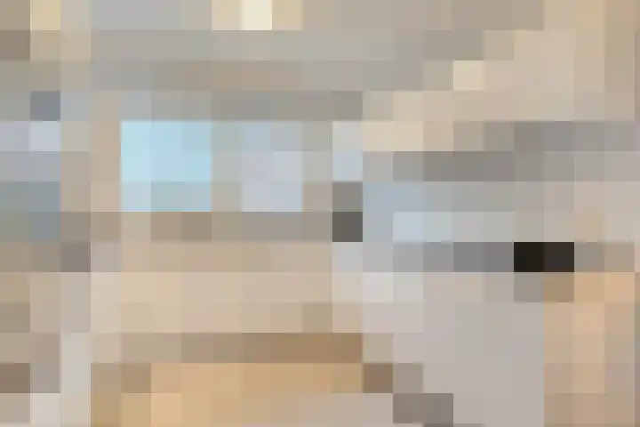 Havik 7 Ommen thumbnail 16
