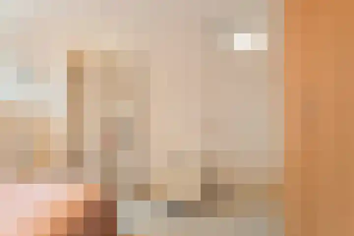 Havik 7 Ommen thumbnail 24