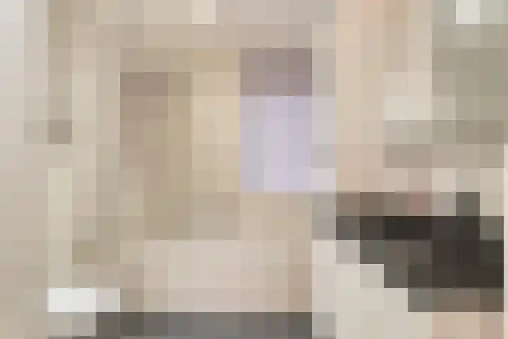Havik 7 Ommen thumbnail 30