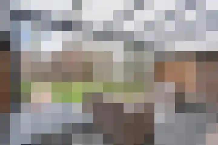Havik 7 Ommen thumbnail 39