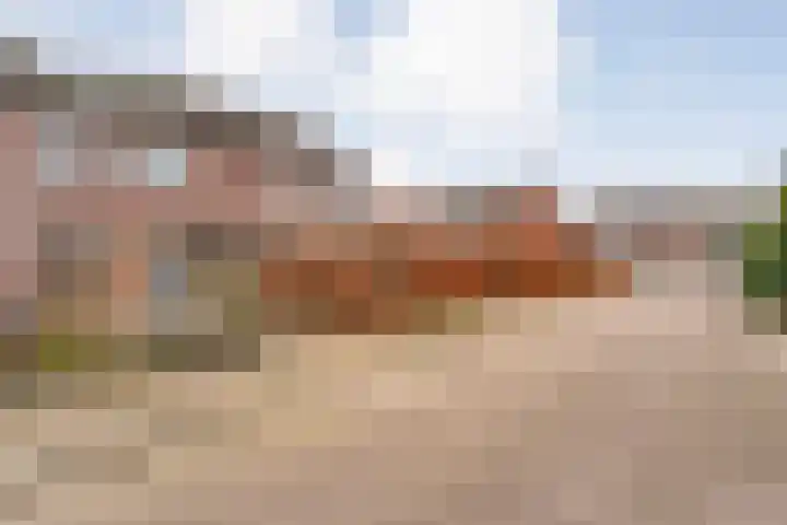 Havik 7 Ommen thumbnail 4