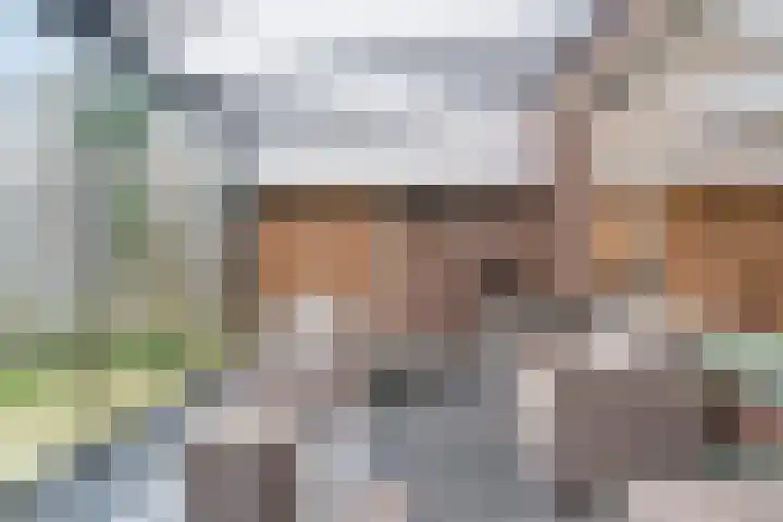 Havik 7 Ommen thumbnail 40