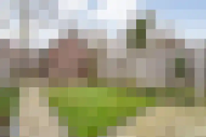 Havik 7 Ommen thumbnail 42