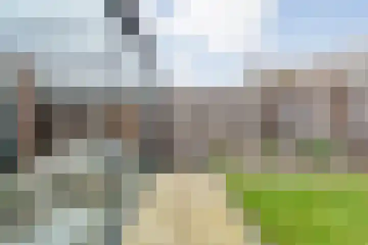 Havik 7 Ommen thumbnail 43