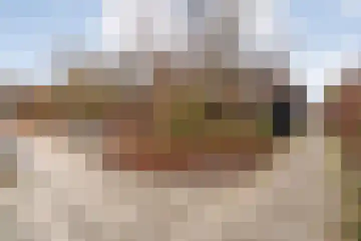 Havik 7 Ommen thumbnail 49