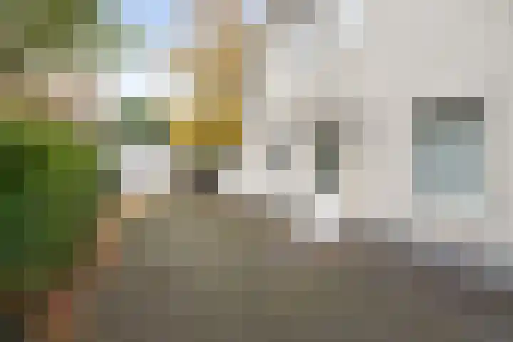 Havik 7 Ommen thumbnail 50