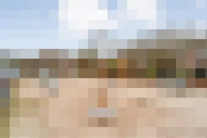 Havik 7 Ommen thumbnail 51