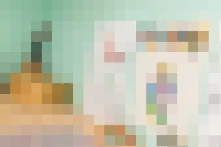 Havik 7 Ommen thumbnail 7
