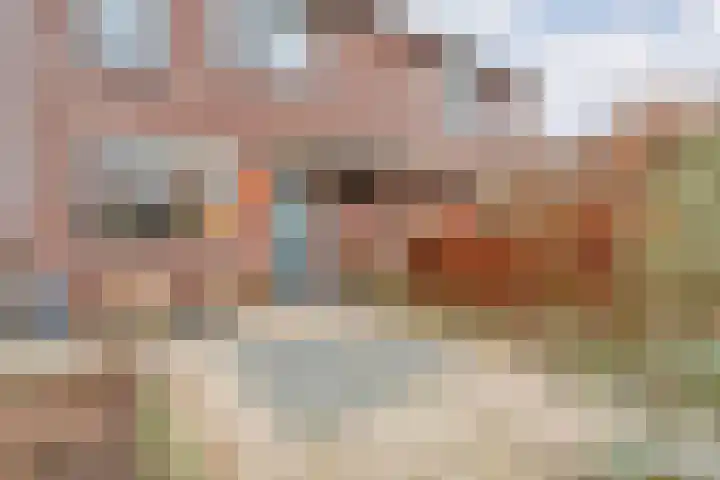 Havik 7 Ommen thumbnail 7
