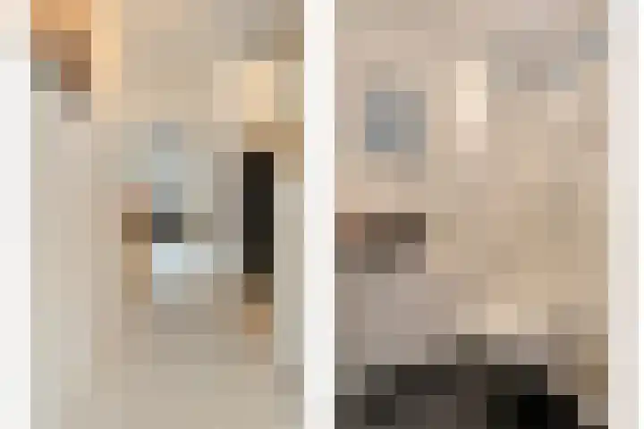 Havik 7 Ommen thumbnail 9