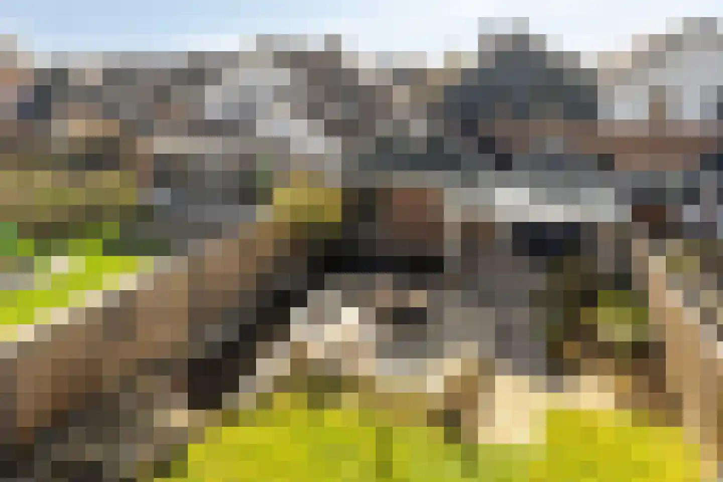 Havikenhof 10 Varsseveld thumbnail 49