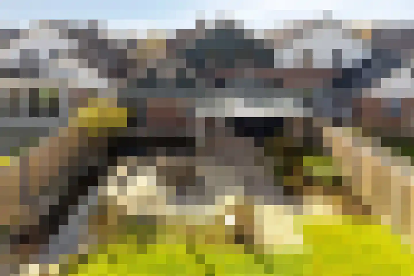Havikenhof 10 Varsseveld thumbnail 50